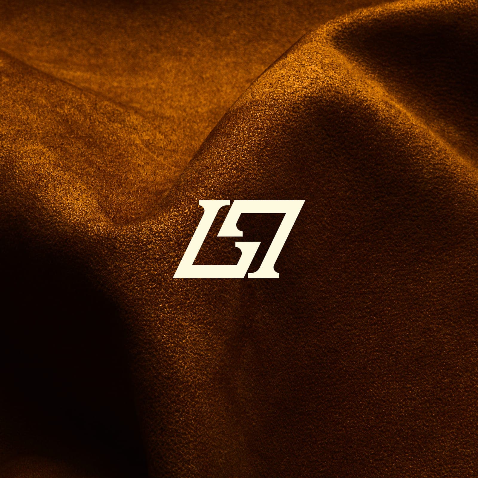 LADYT Bags — Brand identity